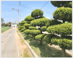  2025Ÿ��15615 �泲 ��õ�� ������ �۸��� 760-24      ����(����)���