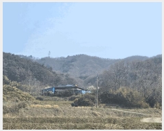  2025Ÿ15619 泲 õ Ǳ ɵ 37      (Ӿ)