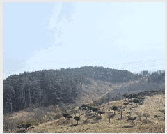  2025Ÿ15619 泲 õ Ǳ ɵ 37      (Ӿ)