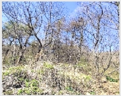  2025Ÿ15619 泲 õ Ǳ ɵ 37      (Ӿ)