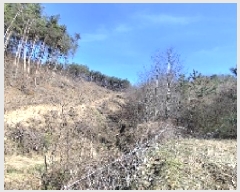  2025Ÿ15619 泲 õ Ǳ ɵ 37      (Ӿ)