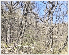  2025Ÿ15619 泲 õ Ǳ ɵ 37      (Ӿ)