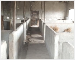  2025Ÿ��15637 �泲 ���걺 ���� �Ÿ� 404-1      ����(��1)���