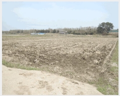  2025Ÿ��15641 �泲 ���ɽ� �ֱ��� �ֱ��� 1642-6      ����(��)���