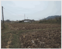  2025Ÿ��15641 �泲 ���ɽ� �ֱ��� �ֱ��� 1642-6      ����(��)���