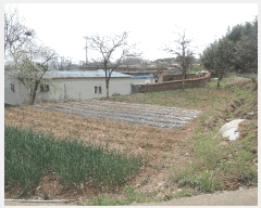  2025Ÿ��15641 �泲 ���ɽ� �ֱ��� �ֱ��� 1642-6      ����(��)���