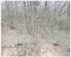  2025Ÿ��15641 �泲 ���ɽ� �ֱ��� �ֱ��� 1642-6      ����(��)���