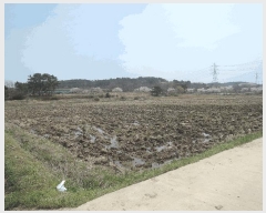  2025Ÿ��15641 �泲 ���ɽ� �ֱ��� �ֱ��� 1642-6      ����(��)���