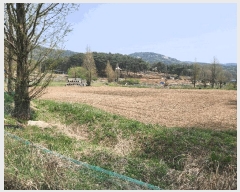  2025Ÿ��15647  ����