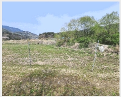  2025Ÿ��15647  ����