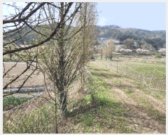  2025Ÿ��15647  ����