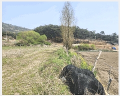  2025Ÿ��15647  ����