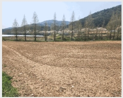  2025Ÿ��15647  ����