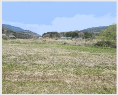  2025Ÿ��15647  ����