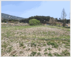  2025Ÿ��15647  ����