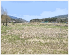  2025Ÿ��15647  ����