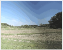  2025Ÿ��15653 �泲 ȫ���� ȫ���� �뵿�� 321      ����(��)���