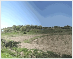  2025Ÿ��15653 �泲 ȫ���� ȫ���� �뵿�� 321      ����(��)���