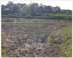  2025Ÿ��15653 �泲 ȫ���� ȫ���� �뵿�� 321      ����(��)���