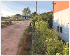  2025Ÿ��15667  ������