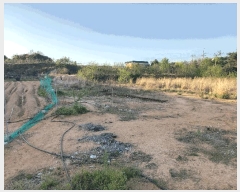  2025Ÿ��15667  ������