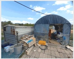  2025Ÿ��15667  ������