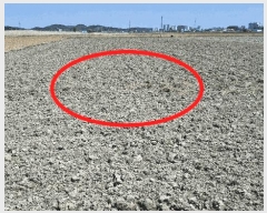  2025Ÿ��15669  ����