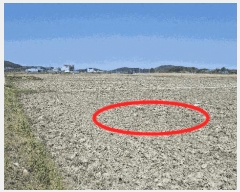  2025Ÿ��15669  ����