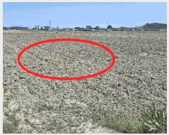  2025Ÿ��15669  ����