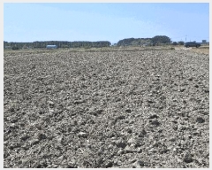  2025Ÿ��15669  ����