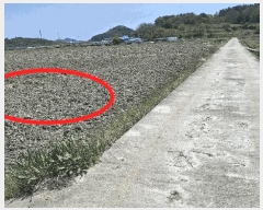  2025Ÿ��15669  ����