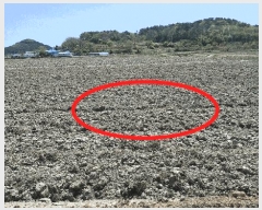  2025Ÿ��15669  ����