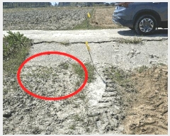  2025Ÿ��15669  ����