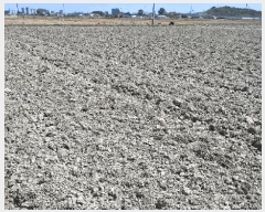  2025Ÿ��15669  ����