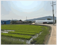  2025Ÿ��15673 �泲 ȫ���� �Ἲ�� �ݰ 712-1      ����(��1)���