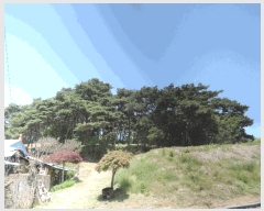  2025Ÿ��15678 �泲 ȫ���� ȫ���� ������ ��5-1      ����(�Ӿ�)���