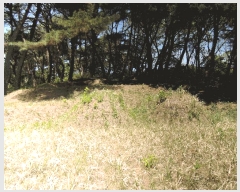  2025Ÿ��15678 �泲 ȫ���� ȫ���� ������ ��5-1      ����(�Ӿ�)���