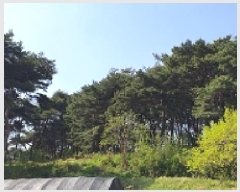  2025Ÿ��15678 �泲 ȫ���� ȫ���� ������ ��5-1      ����(�Ӿ�)���