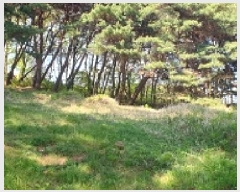  2025Ÿ��15678 �泲 ȫ���� ȫ���� ������ ��5-1      ����(�Ӿ�)���