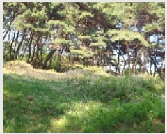  2025Ÿ��15678 �泲 ȫ���� ȫ���� ������ ��5-1      ����(�Ӿ�)���