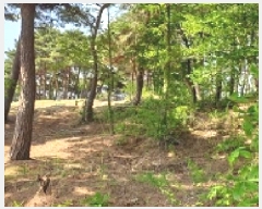  2025Ÿ��15678 �泲 ȫ���� ȫ���� ������ ��5-1      ����(�Ӿ�)���