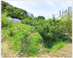  2025Ÿ��15693 �泲 ���ɽ� ��õ�� ������ 19-4      ����(��1)���