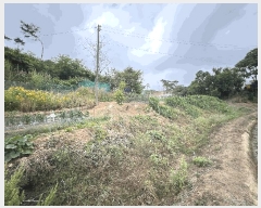  2025Ÿ��15698  �����