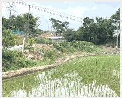  2025Ÿ��15698  �����