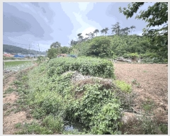  2025Ÿ��15698  �����