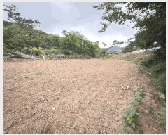  2025Ÿ��15698  �����