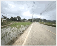  2025Ÿ��15698  �����