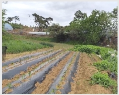  2025Ÿ��15698  �����