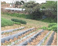  2025Ÿ��15698  �����