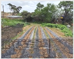  2025Ÿ��15698  �����